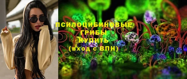 ПСИЛОЦИБИНОВЫЕ ГРИБЫ Арсеньев